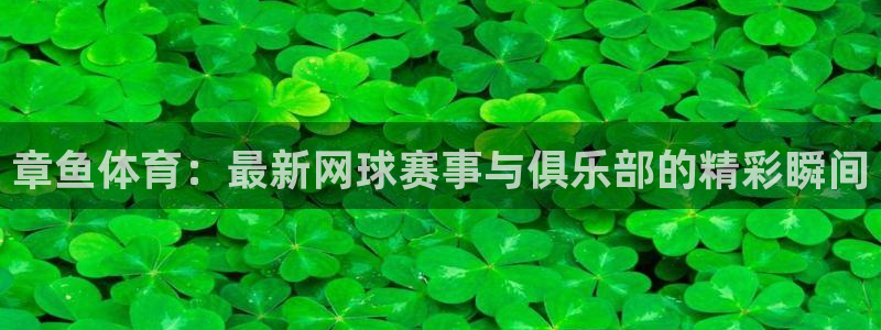 体育新闻
