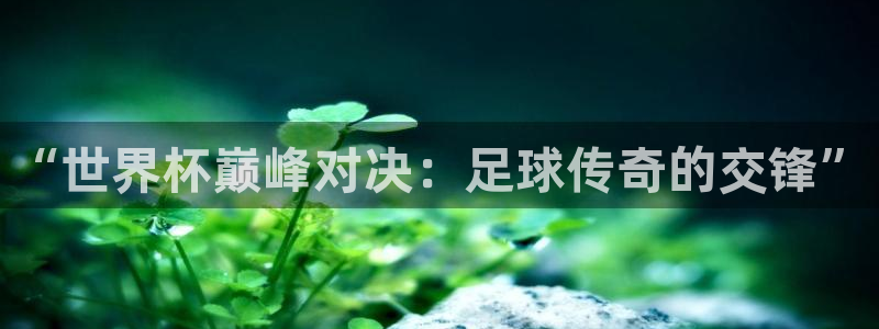 体育新闻