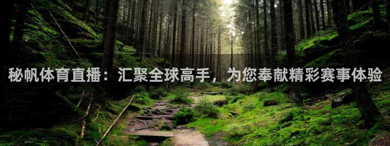 体育新闻