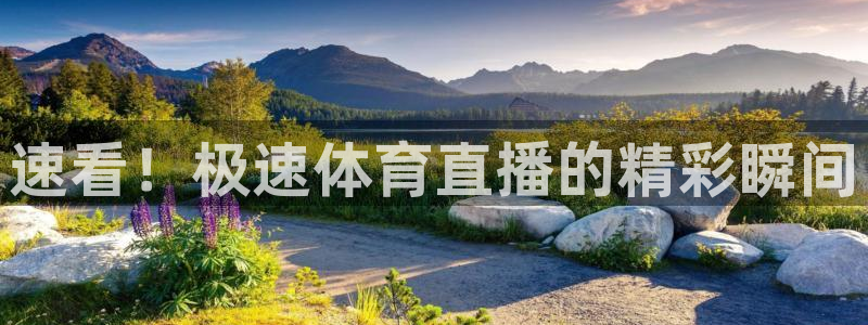 体育新闻