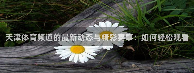 体育新闻