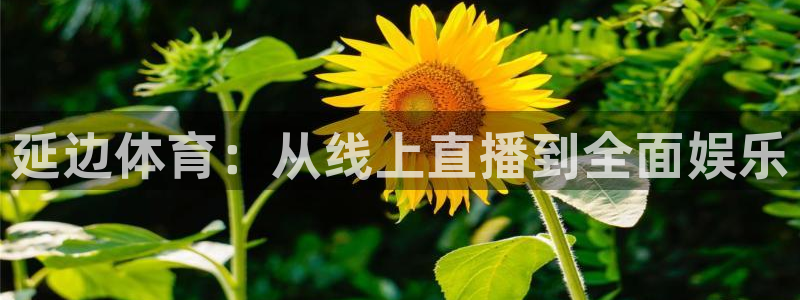 体育新闻