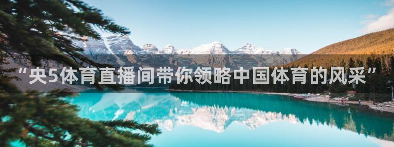 体育新闻