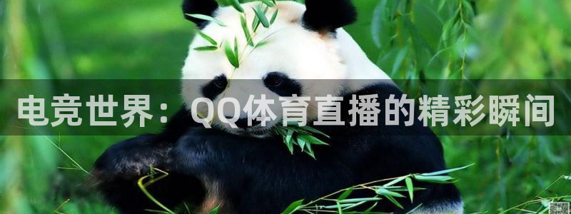 体育新闻