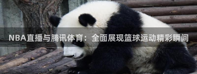 体育新闻