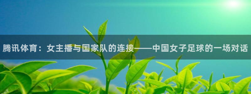 体育新闻